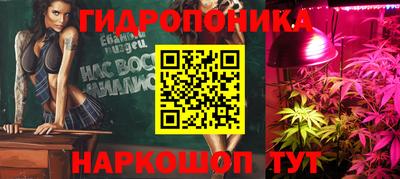 дмт Дмитров